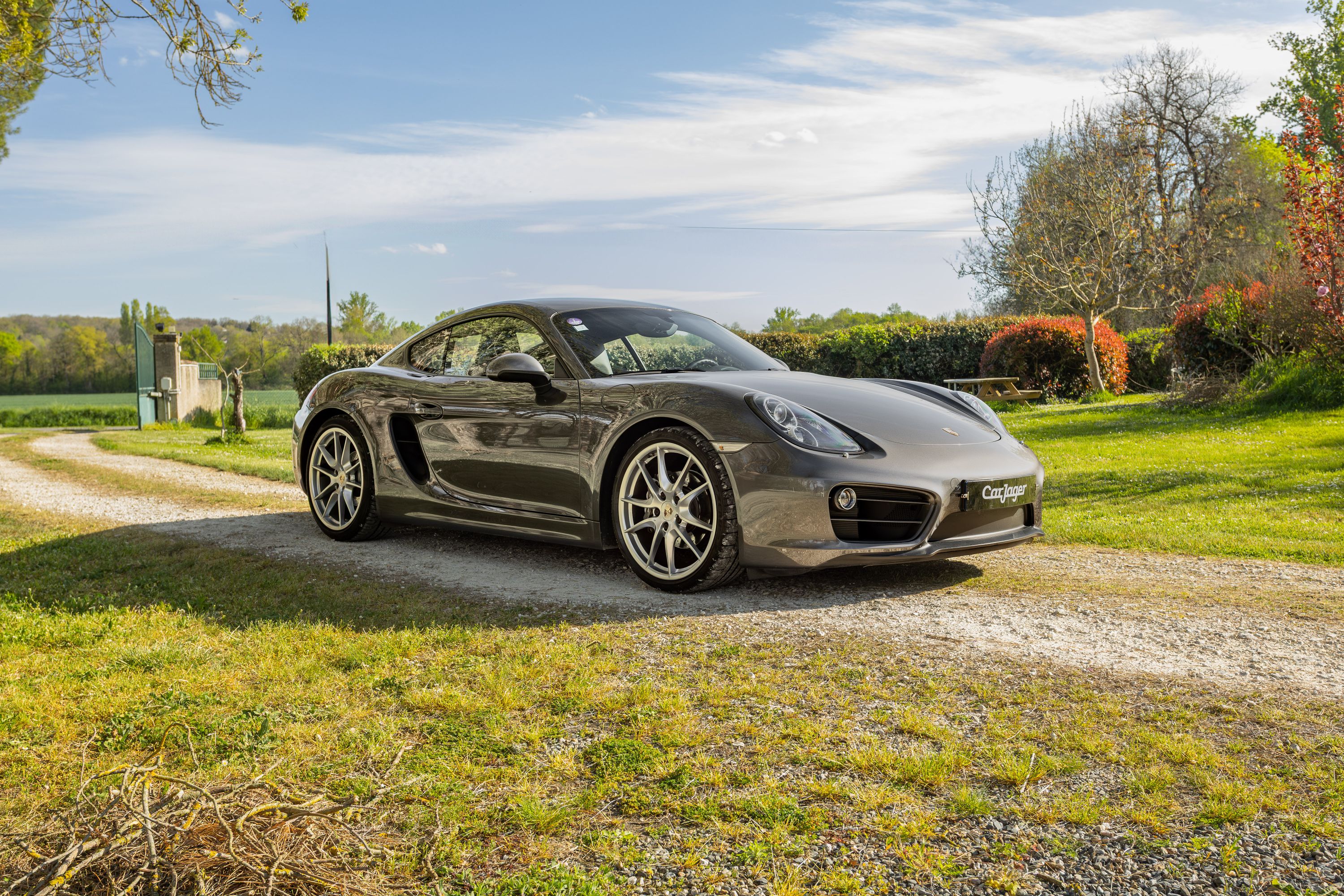 Porsche Cayman 981 Collectibles for Sale - CarJager